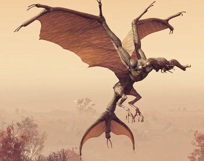 Air Creatures | Liam-Devlin | Fotki.com, photo and video sharing made easy.