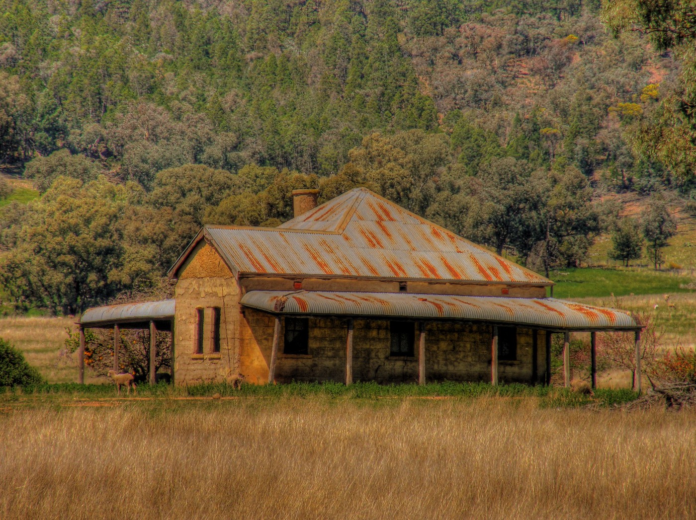 Photo: Mangana Homestead, Murga | Cudal NSW Album | OoO(PETER)Ooo ...