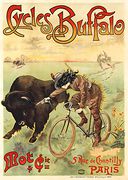 Buffalo cycles
