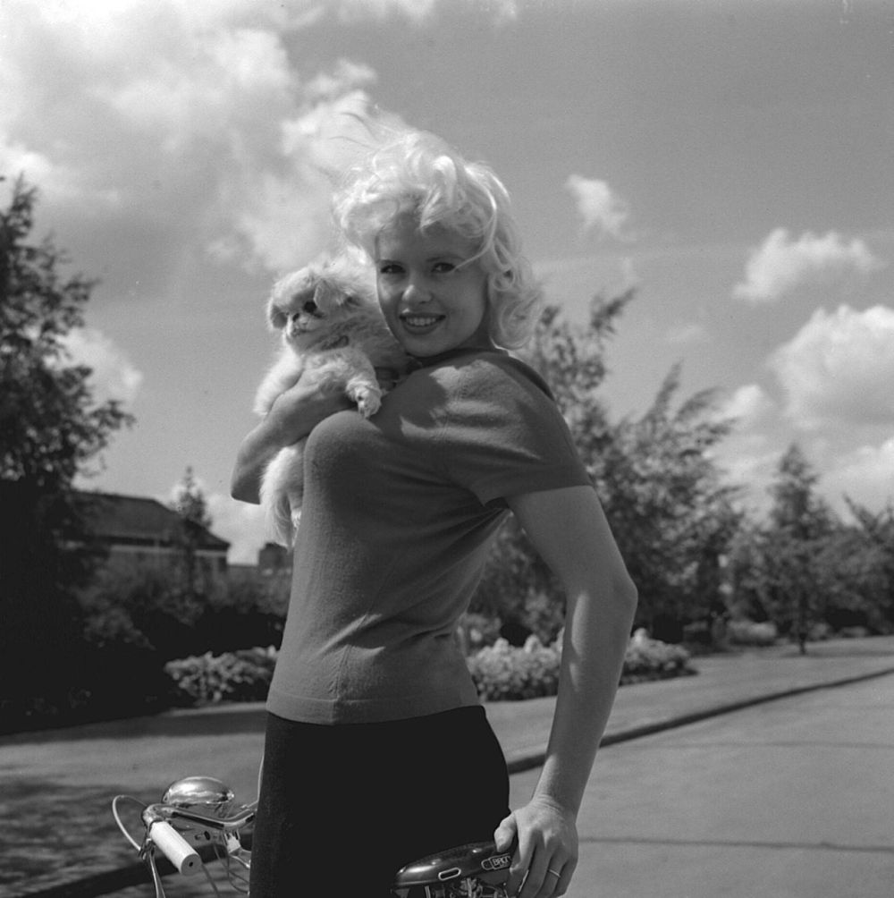 Photo Jayne Mansfield pets Actors album Don photo and