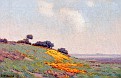 Morning at San Mateo, California [1912]