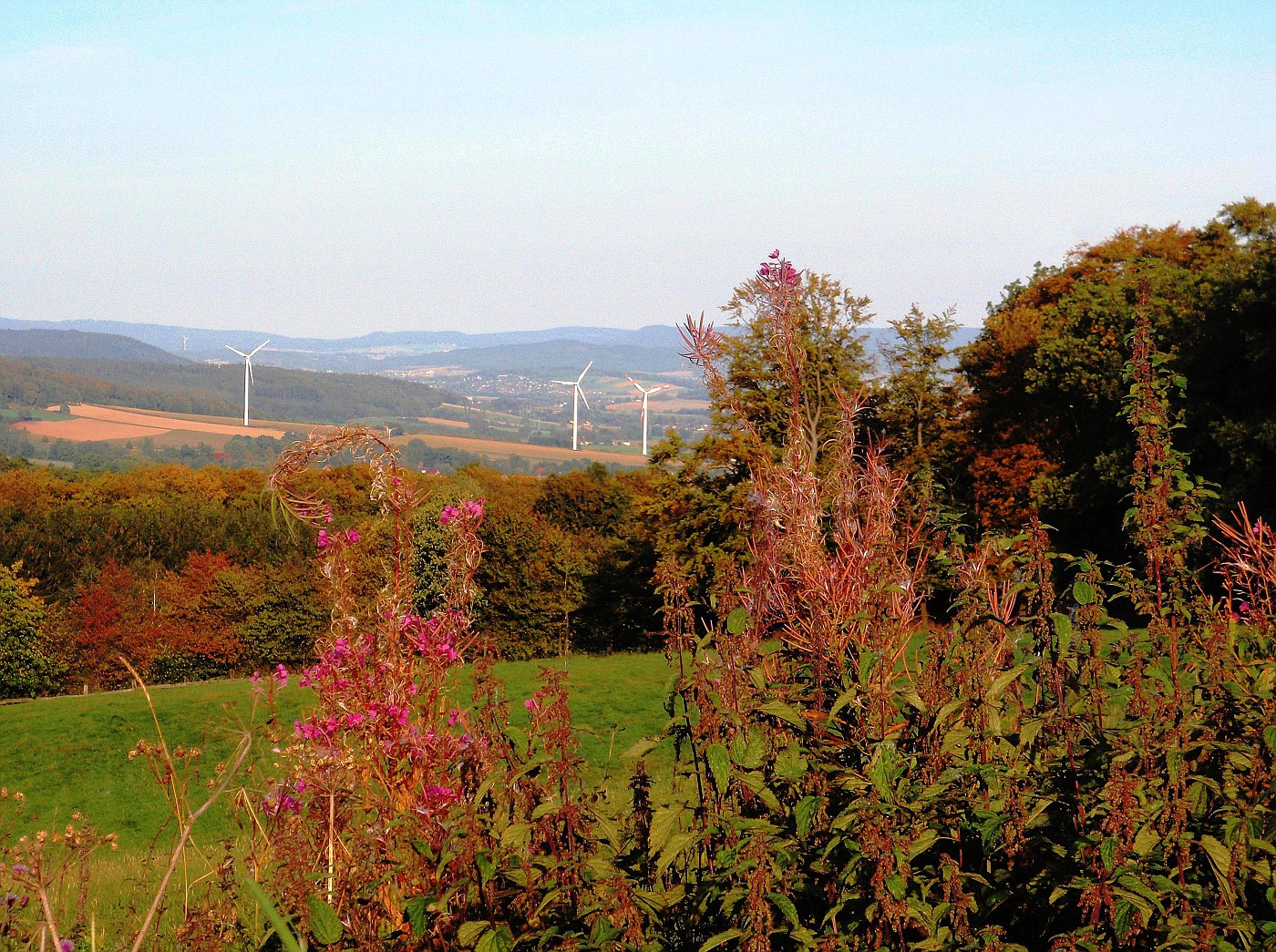 Herbstliche Farben