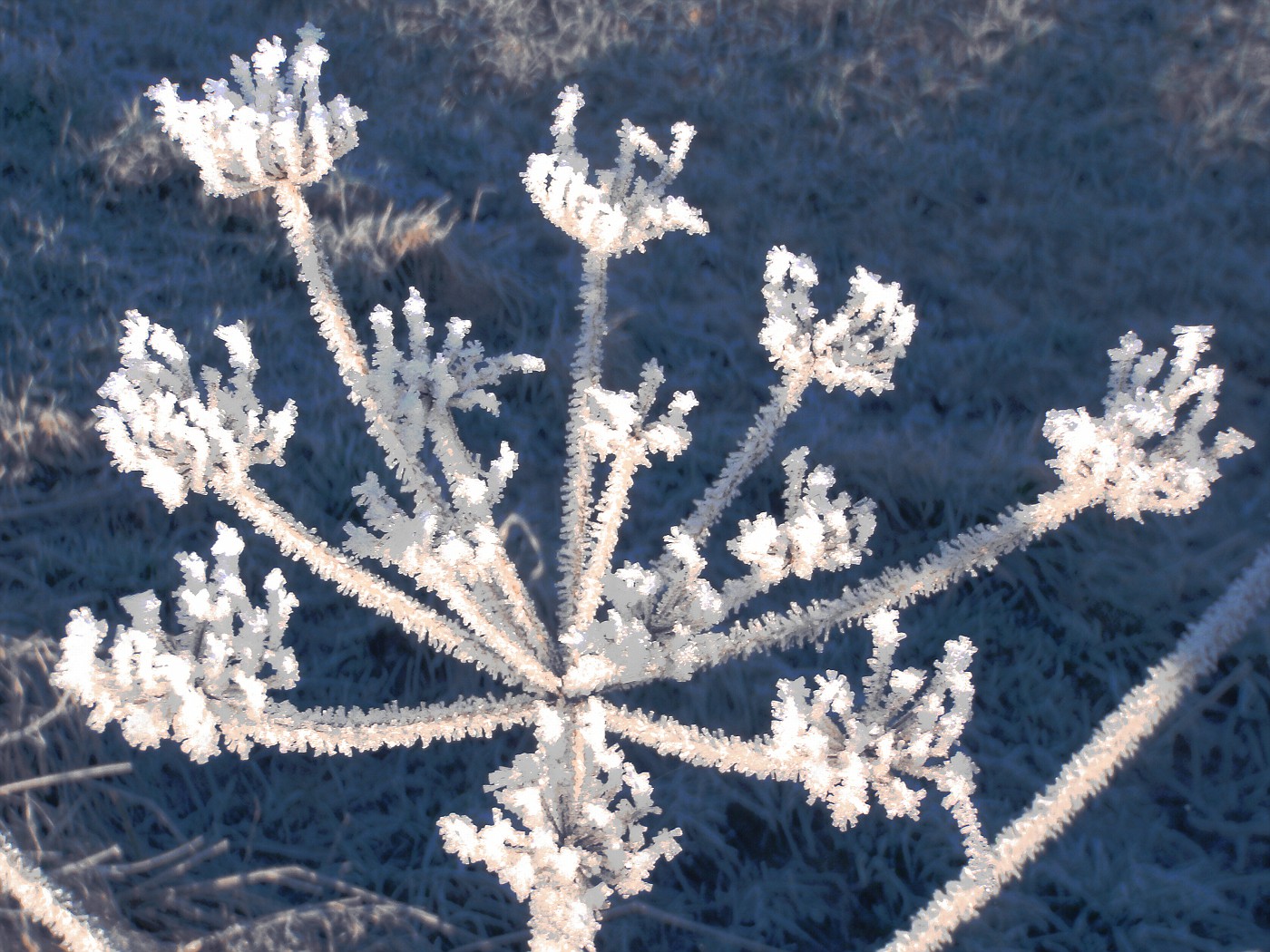 Erste Sonnenstrahlen am frostigen Morgen