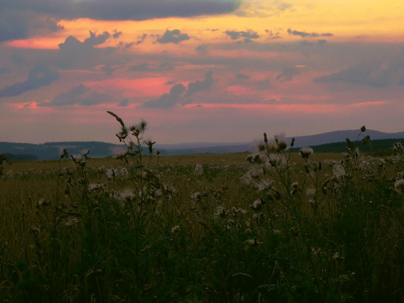 Abendröte