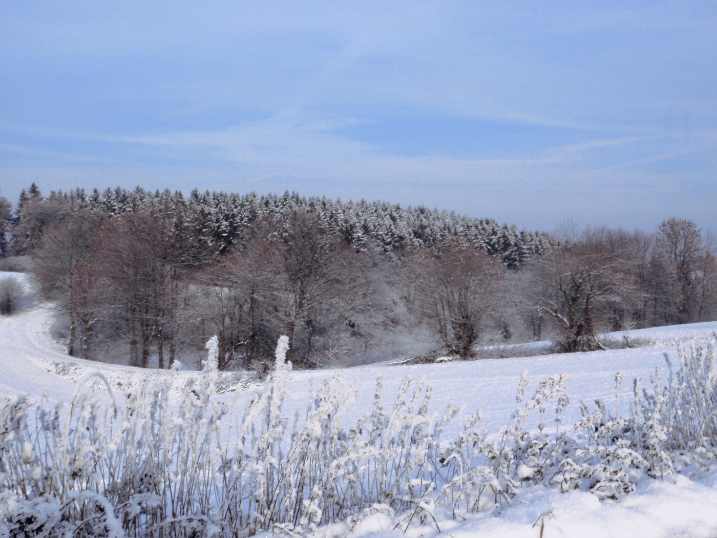 Winter im Weserbergland