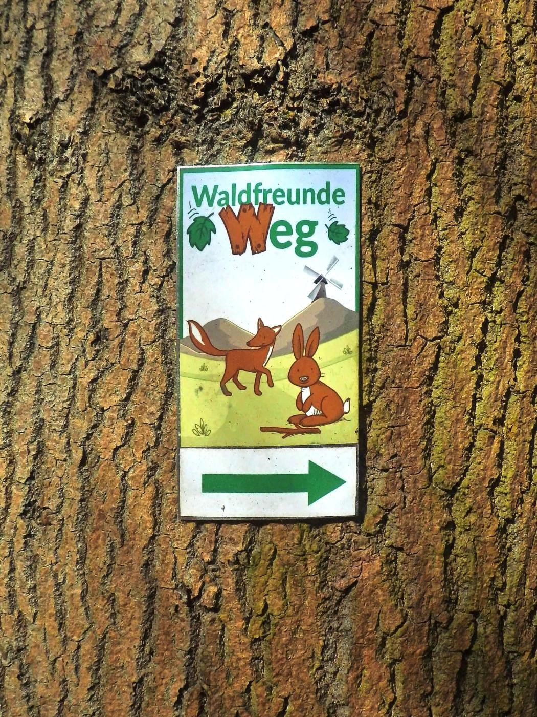 Beschilderung Waldfreunde-Weg