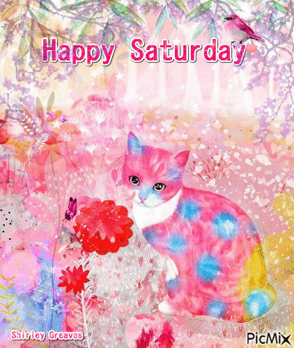 335647-Happy-Saturday-Cat-Gif