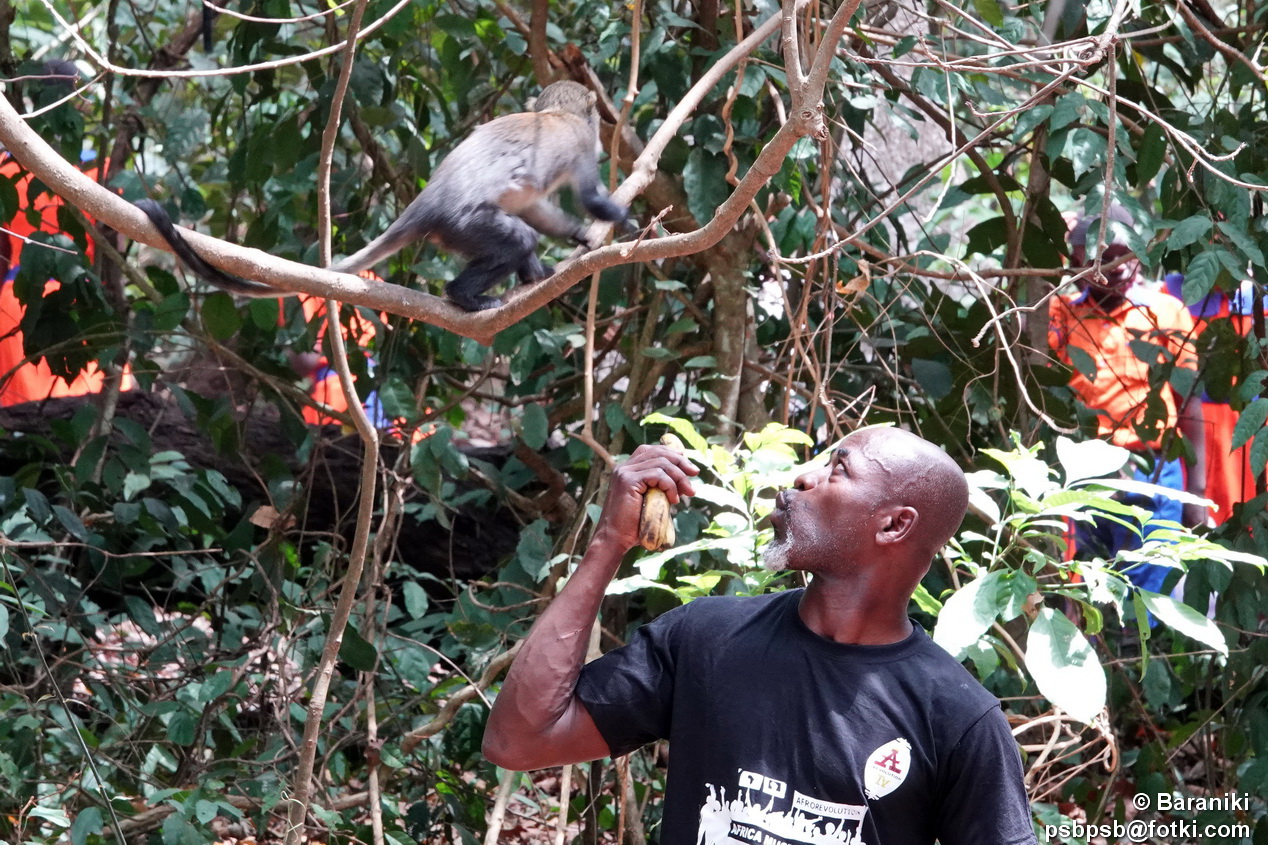 exipure ghana