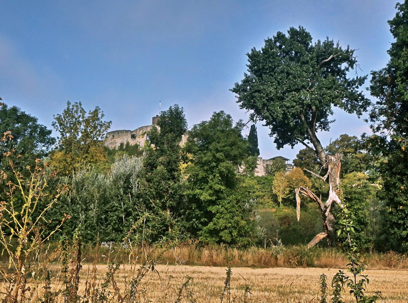 Eversteiner Burgruine, Polle