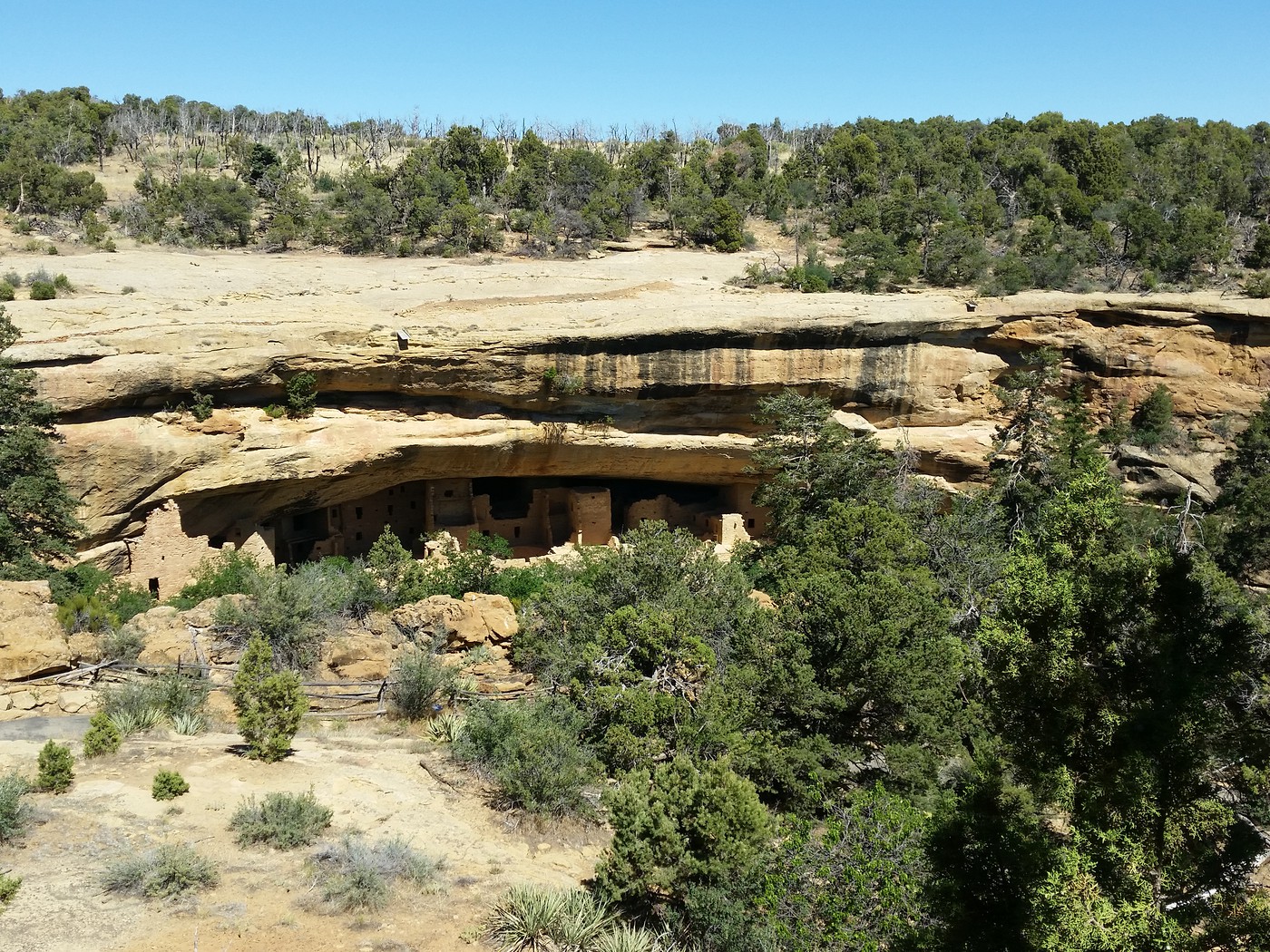 Photo: Distant View of Spruce Tree House-Mesa Verde National Park ...