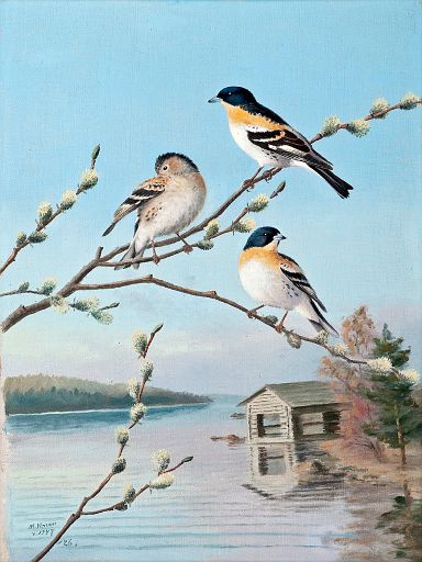 Birds in Spring (1947)