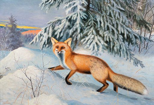 Fox (1917)