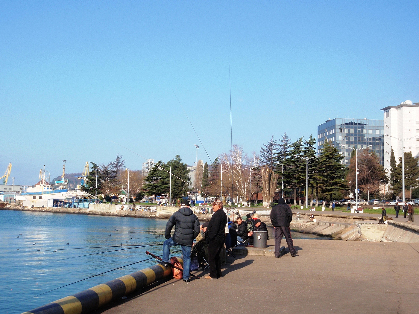 Anglers in the harbour