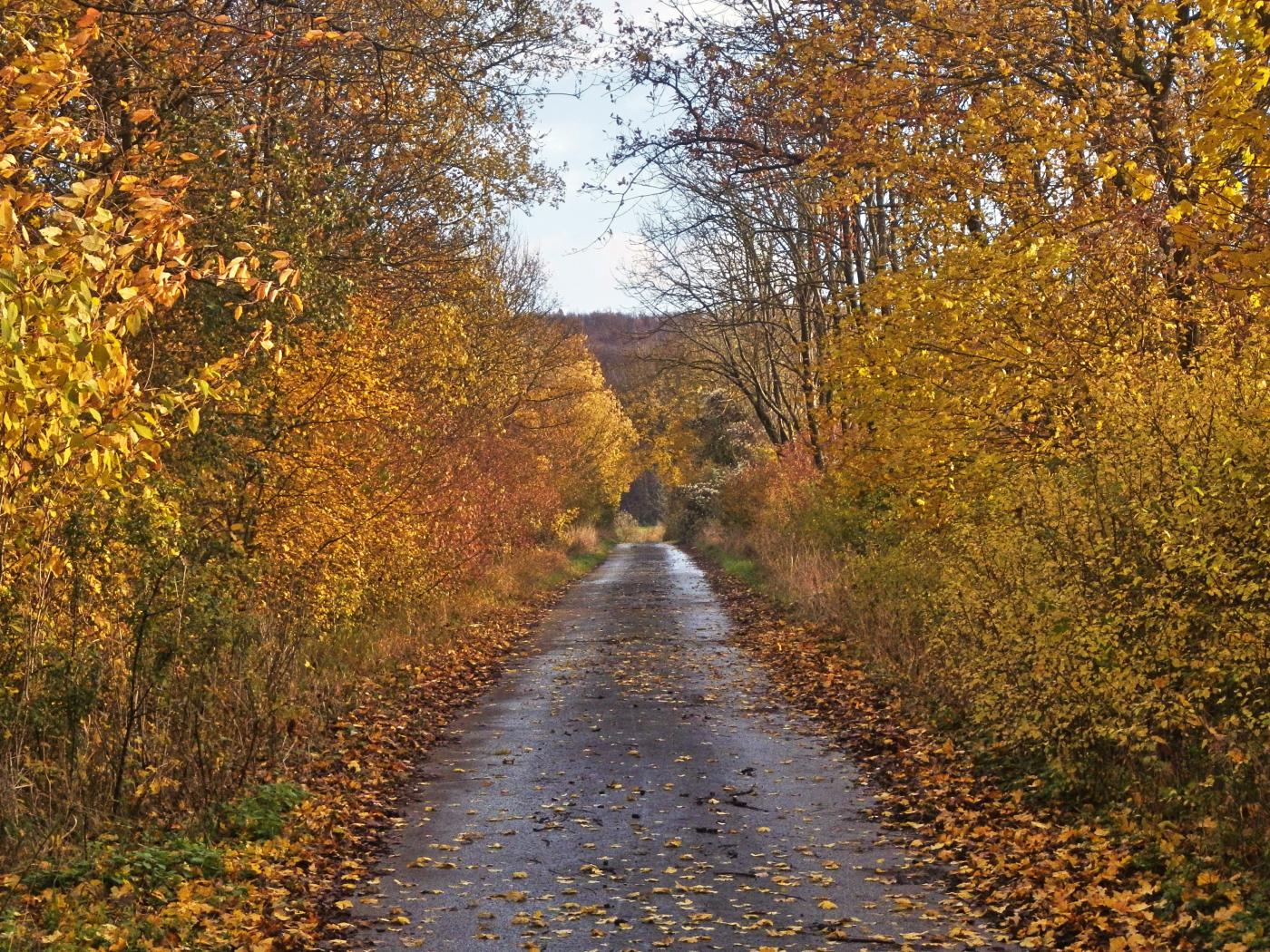 Tappenweg