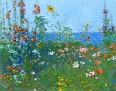 Poppies, Isles of Shoals [c.1890]
