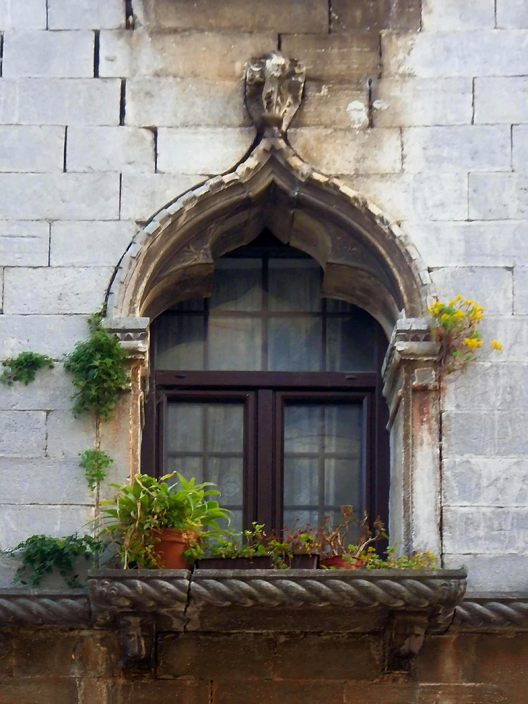 Fenster des gotischen Hauses