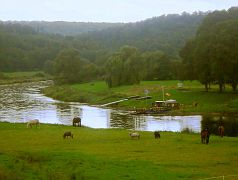 Weser im Regen