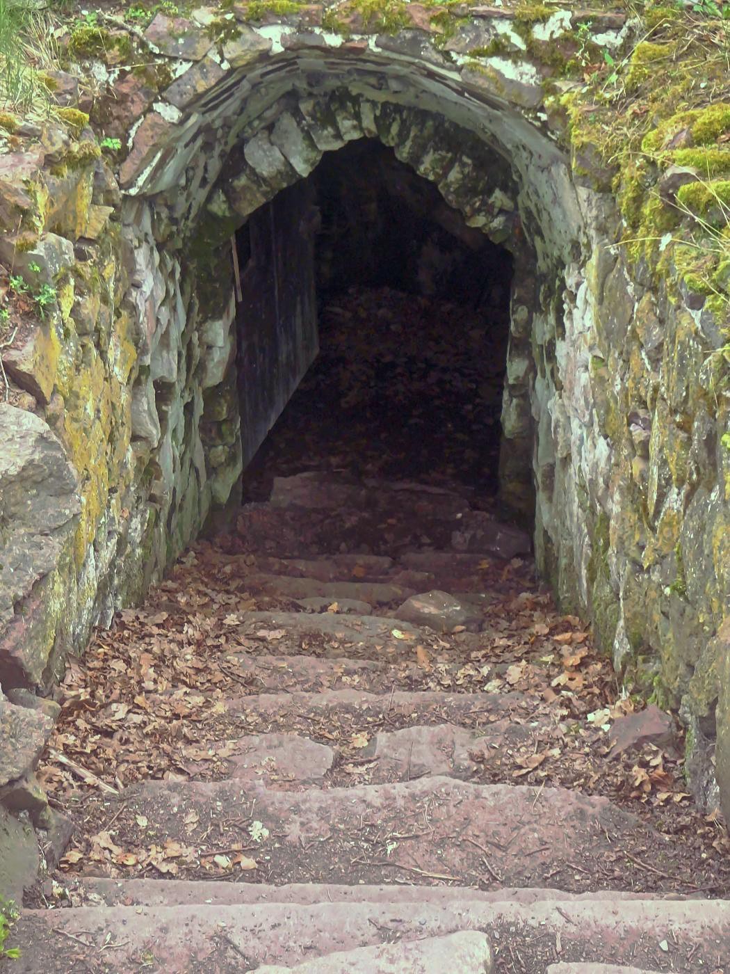 Eingang ins Kellergewölbe