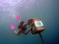 Shelly Posting at World's First Underwater Post Office