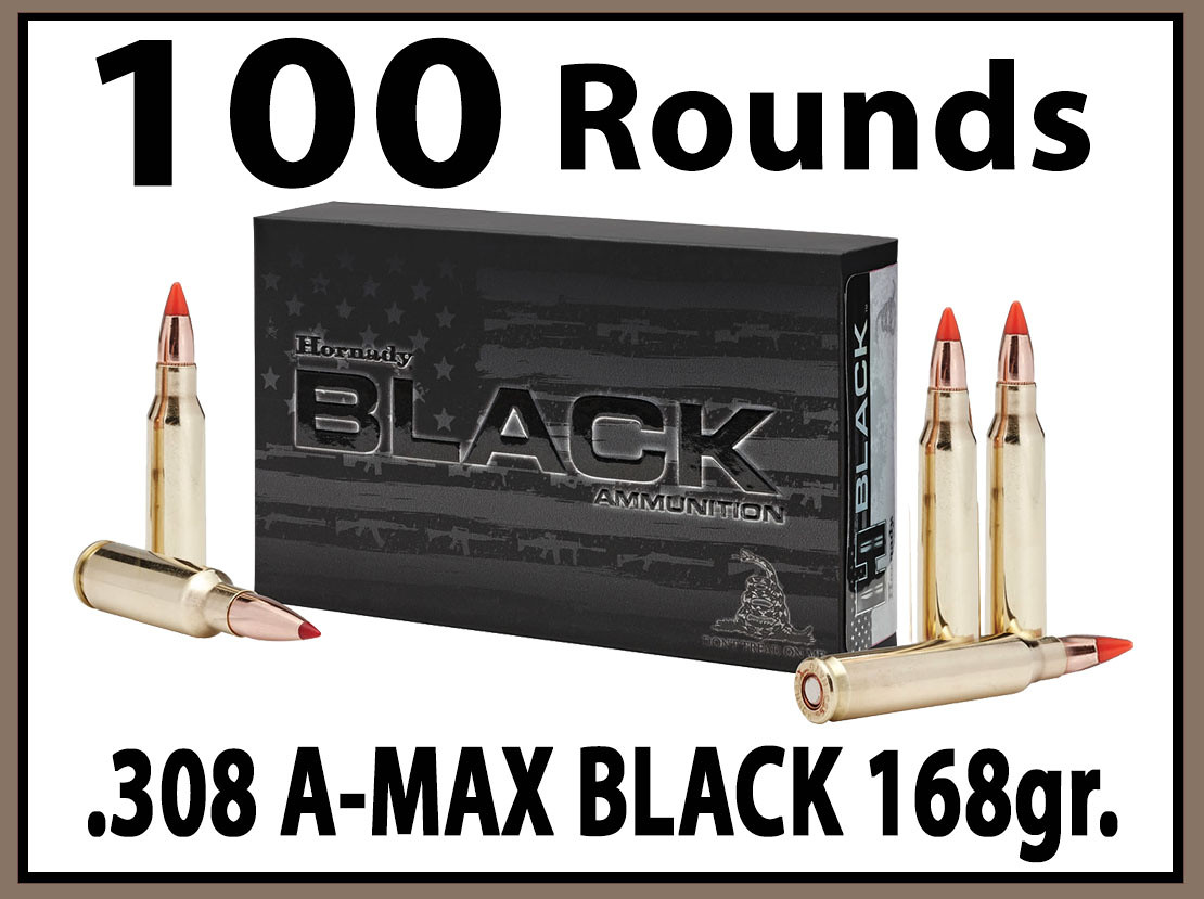 Photo 308 168gr BLACK 100 Rifle Ammo album Titan9876