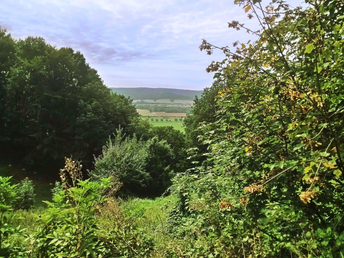 Blick über das Wesertal