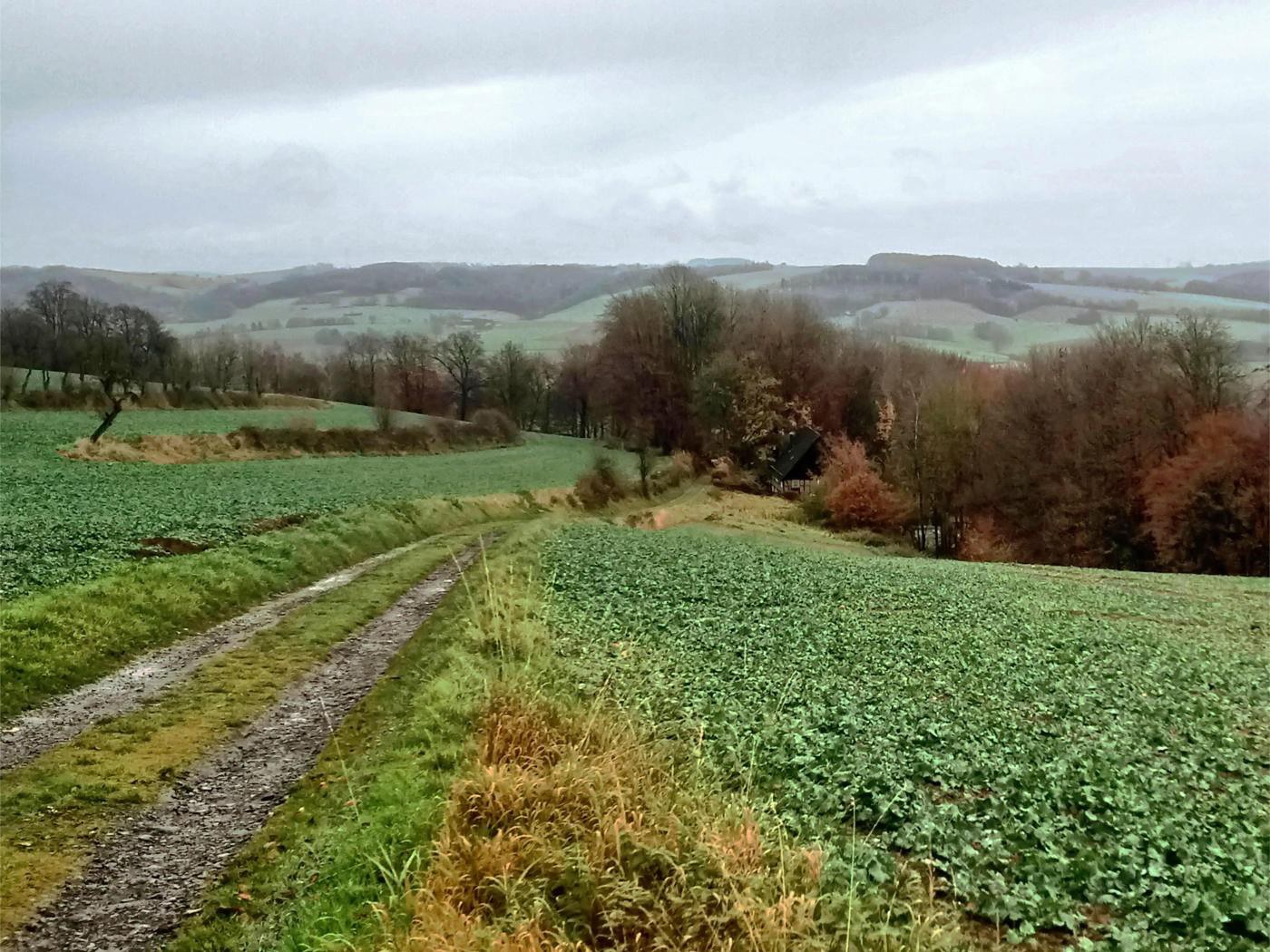 Neues Jahr - altes Wetter