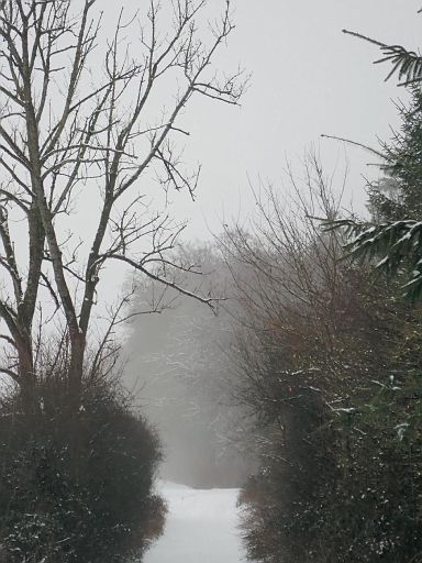 Lügder Weg