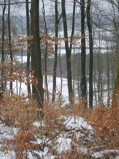 Blick aus dem Forst Barntrup