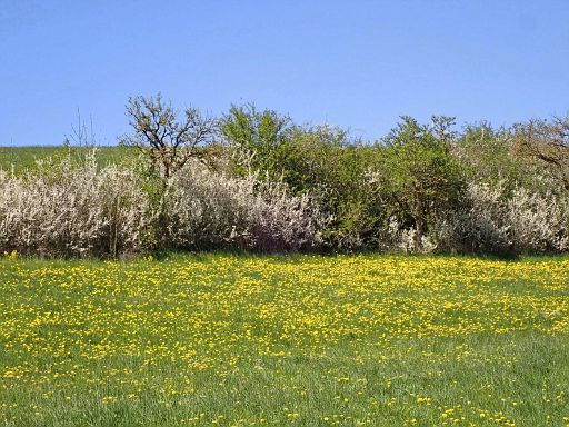 Großenberg