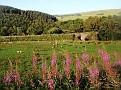 Landscape of Cumbria
