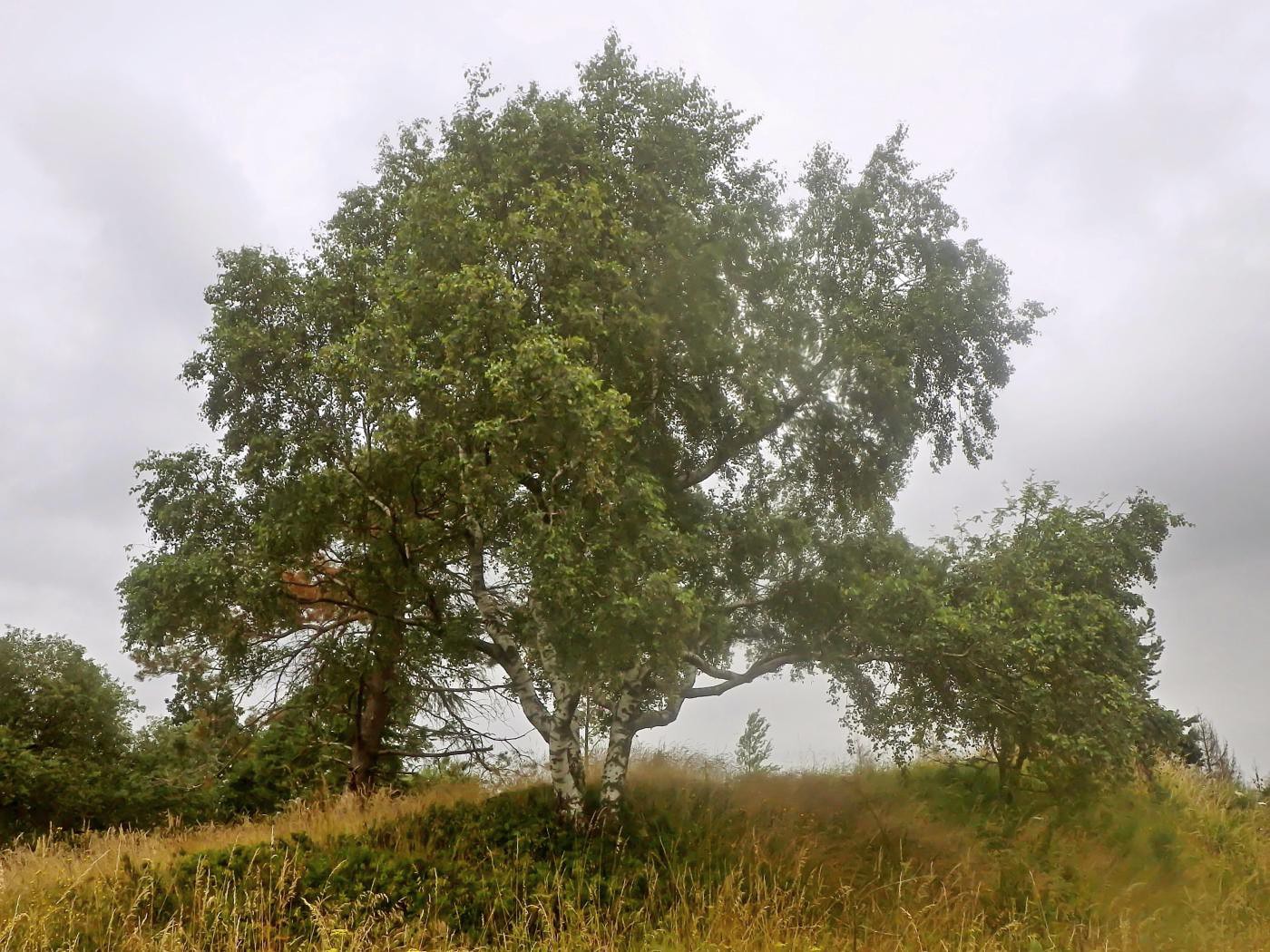 Velmerstot