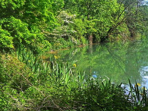 Teich Bögerhof
