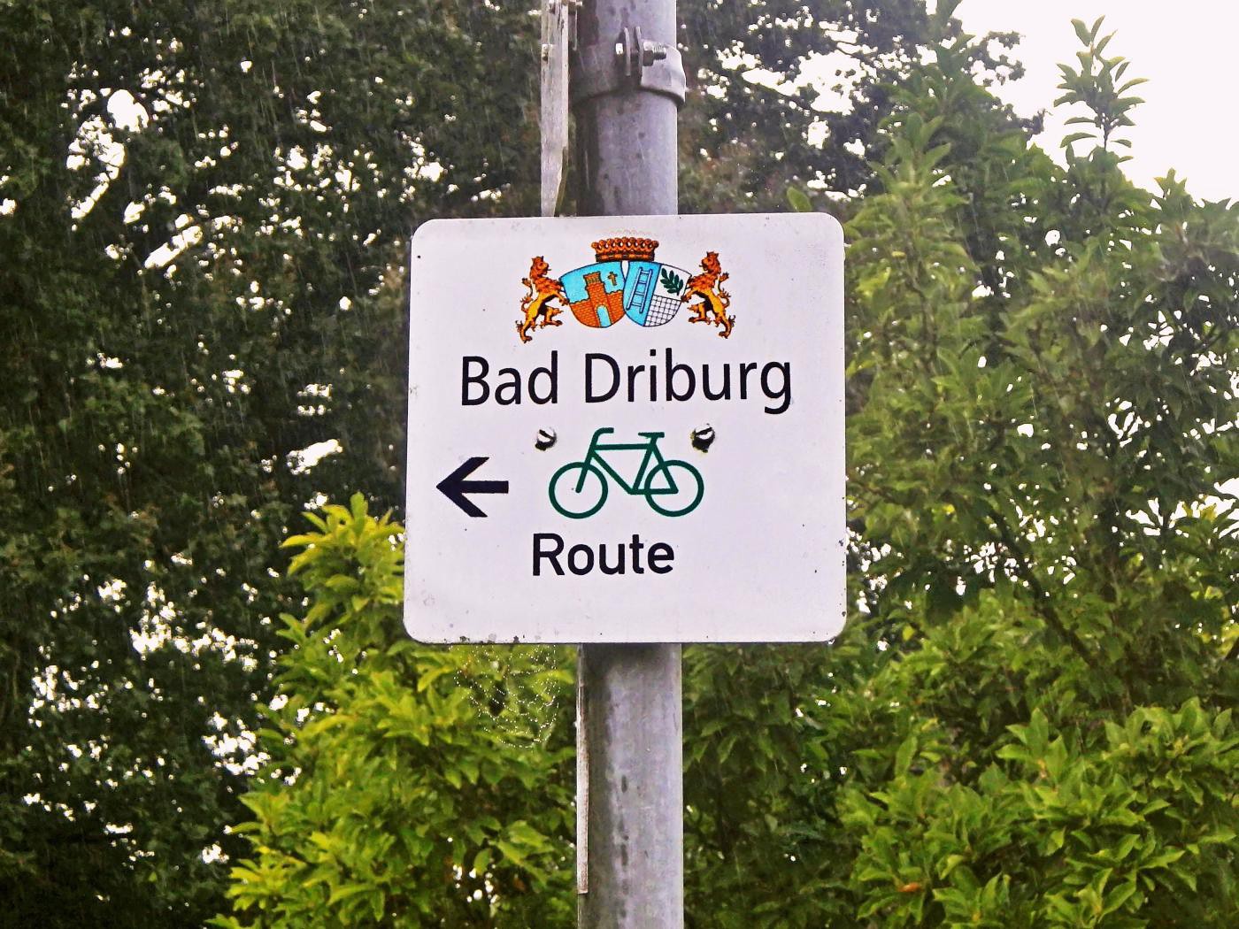 Bad Driburg Route