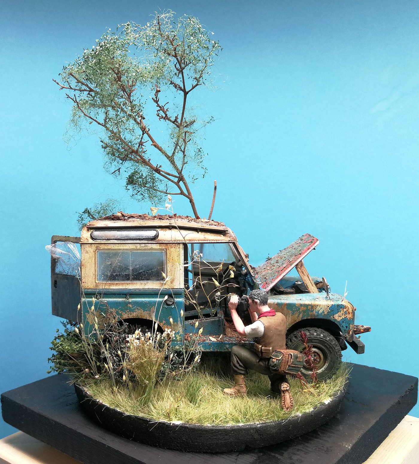 renovation_prospect-vi.jpg