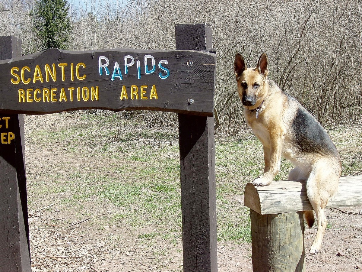 Photo: HAZARDVILLE - SCANTIC RAPIDS - WOLF - 01.jpg | ENFIELD ...