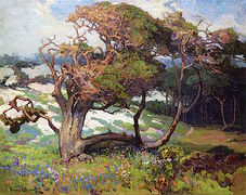 Sand Dunes and Pines, Monterey, California [undated]