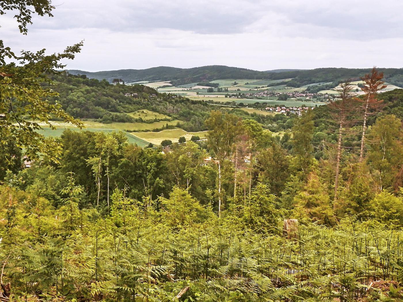 Blick auf Linse