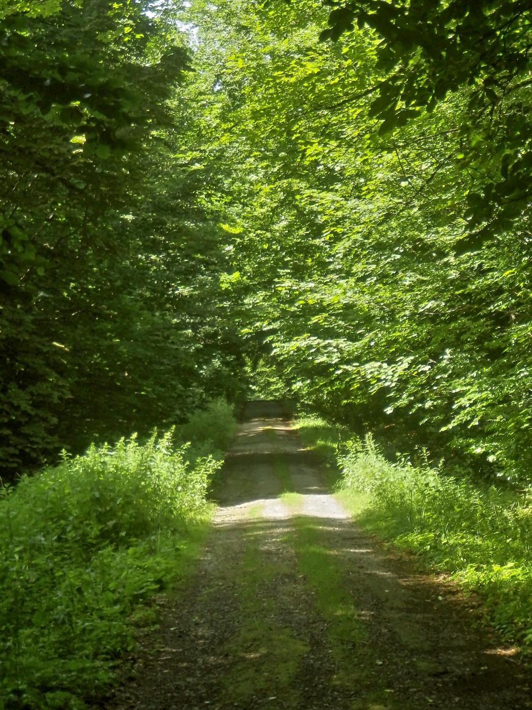Hochwald-Route