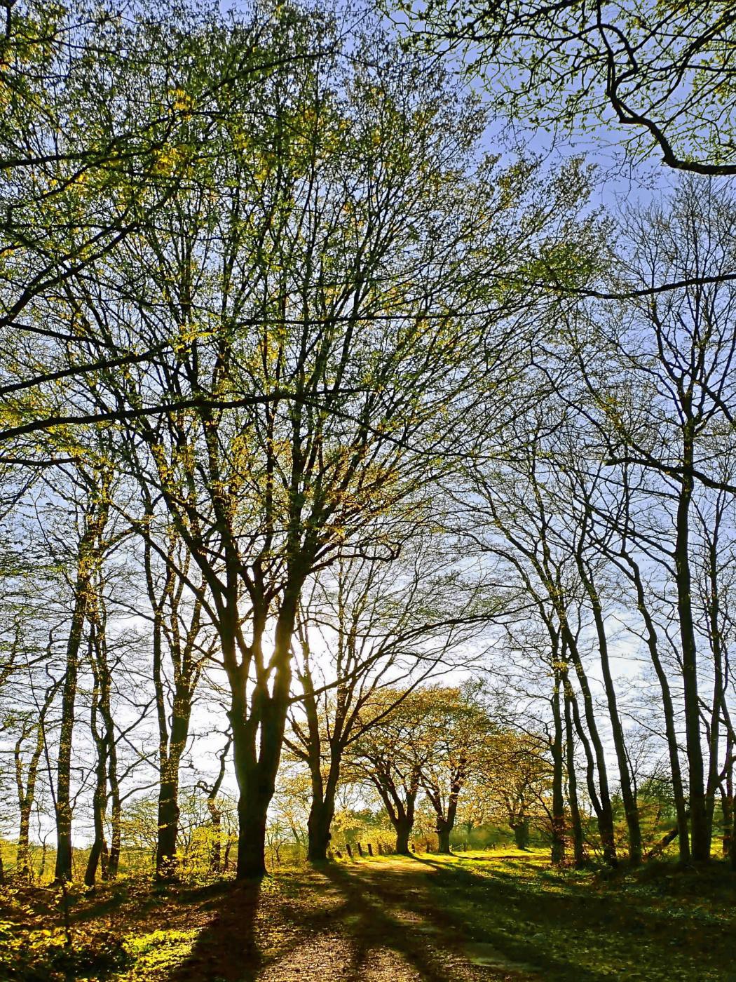 Frühling im Ostersiek