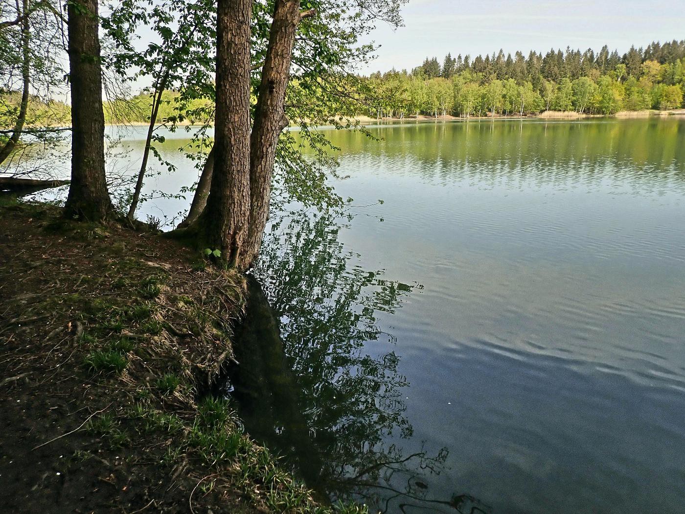 Bruchsee