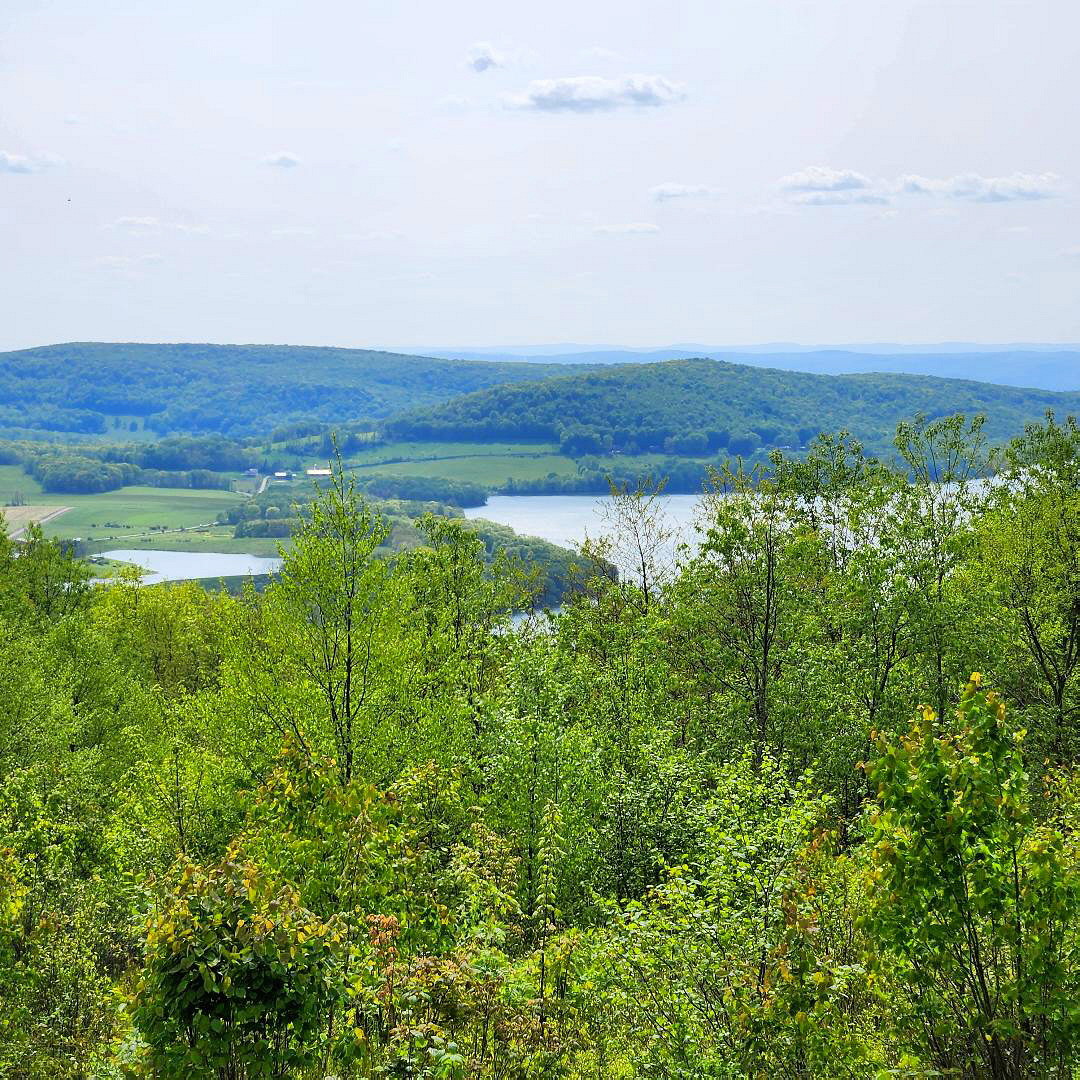 Photo High Point Lake is a 338 Acre Impoundment near the Peak of Mount