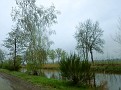 Regen am Overijsselkanaal