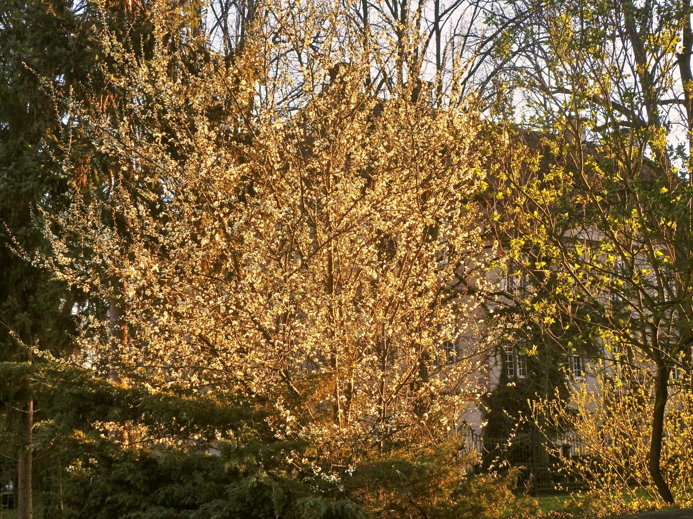 Schlosspark Wöbbel