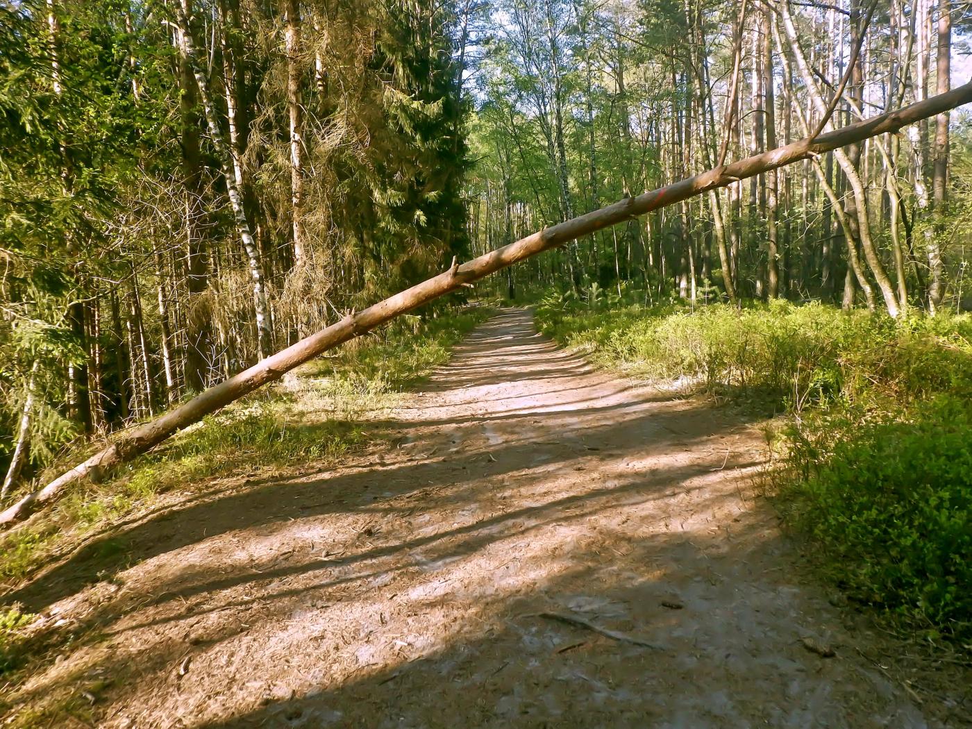 Radfahrer aufgepasst!