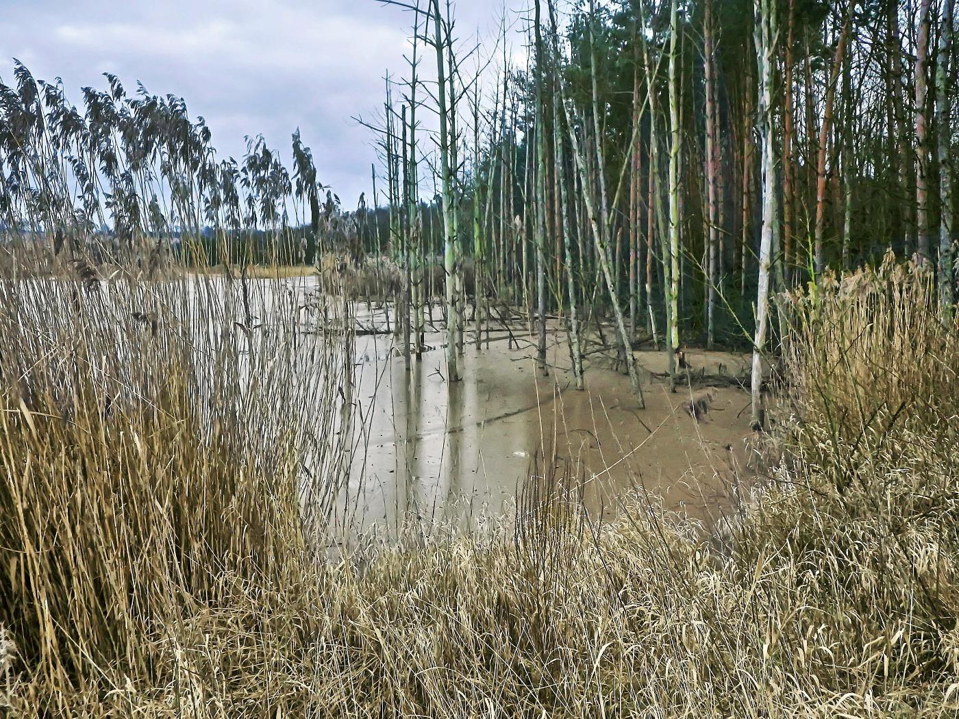 Teich durch Abbau entstanden