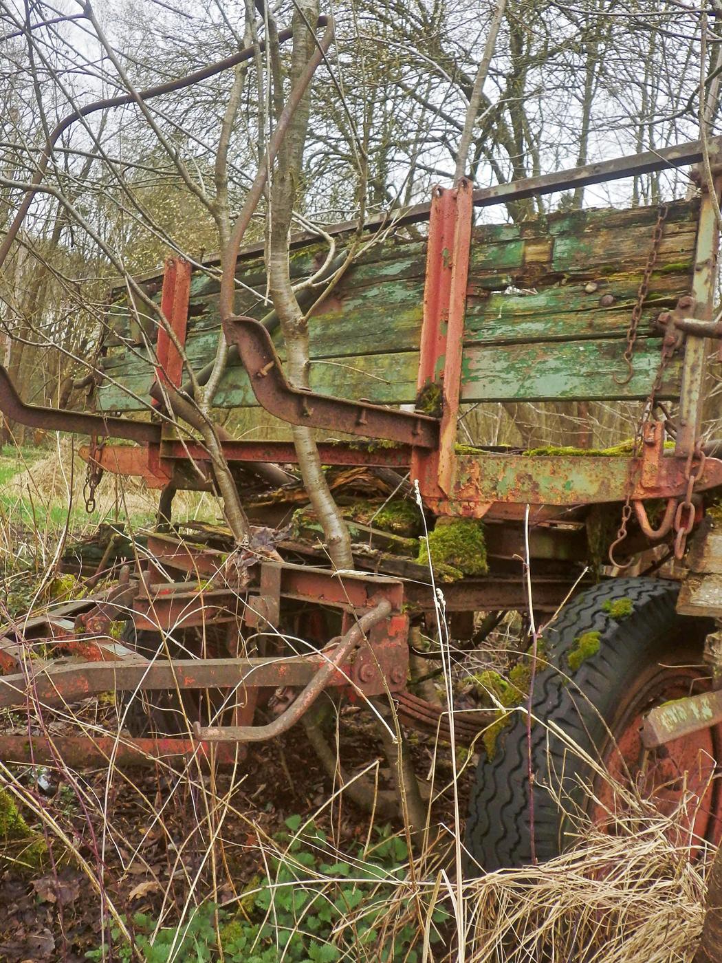 Eroberung der Natur