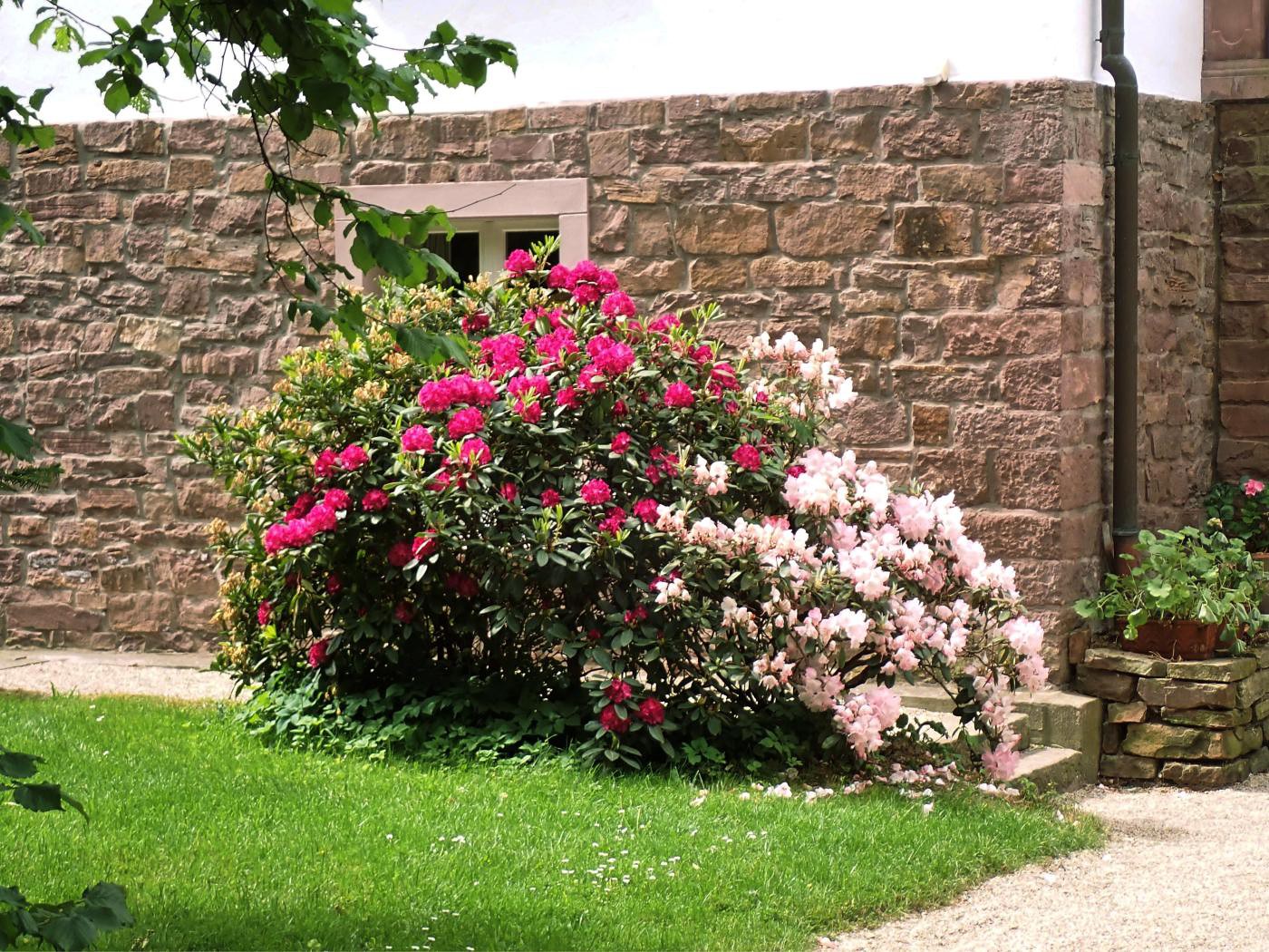 Am Schloss Wehrden