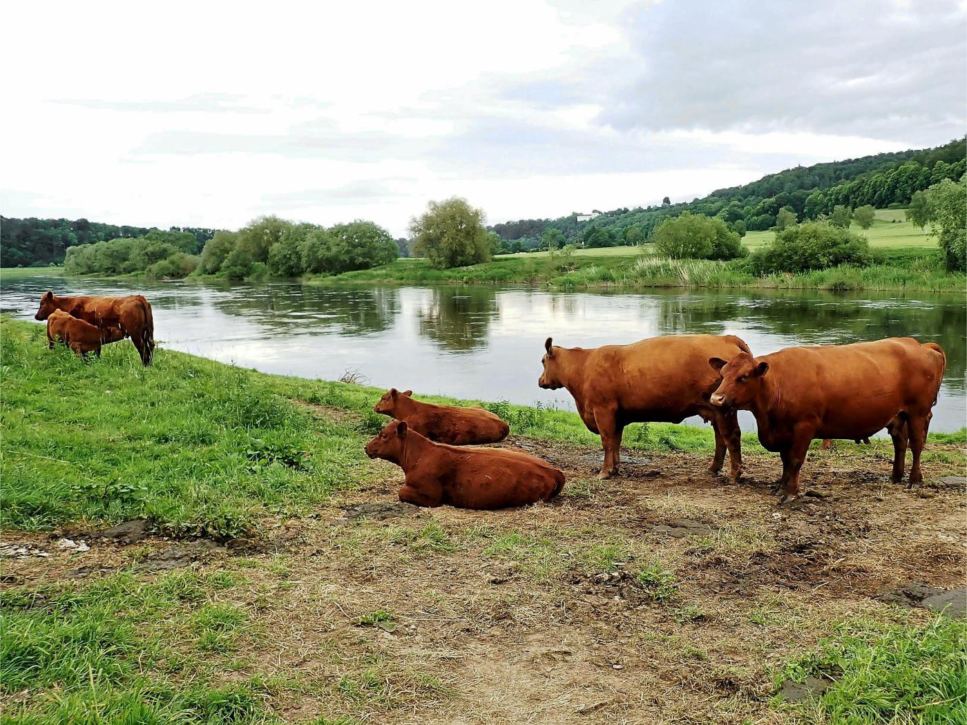 Wehrdener Weserufer