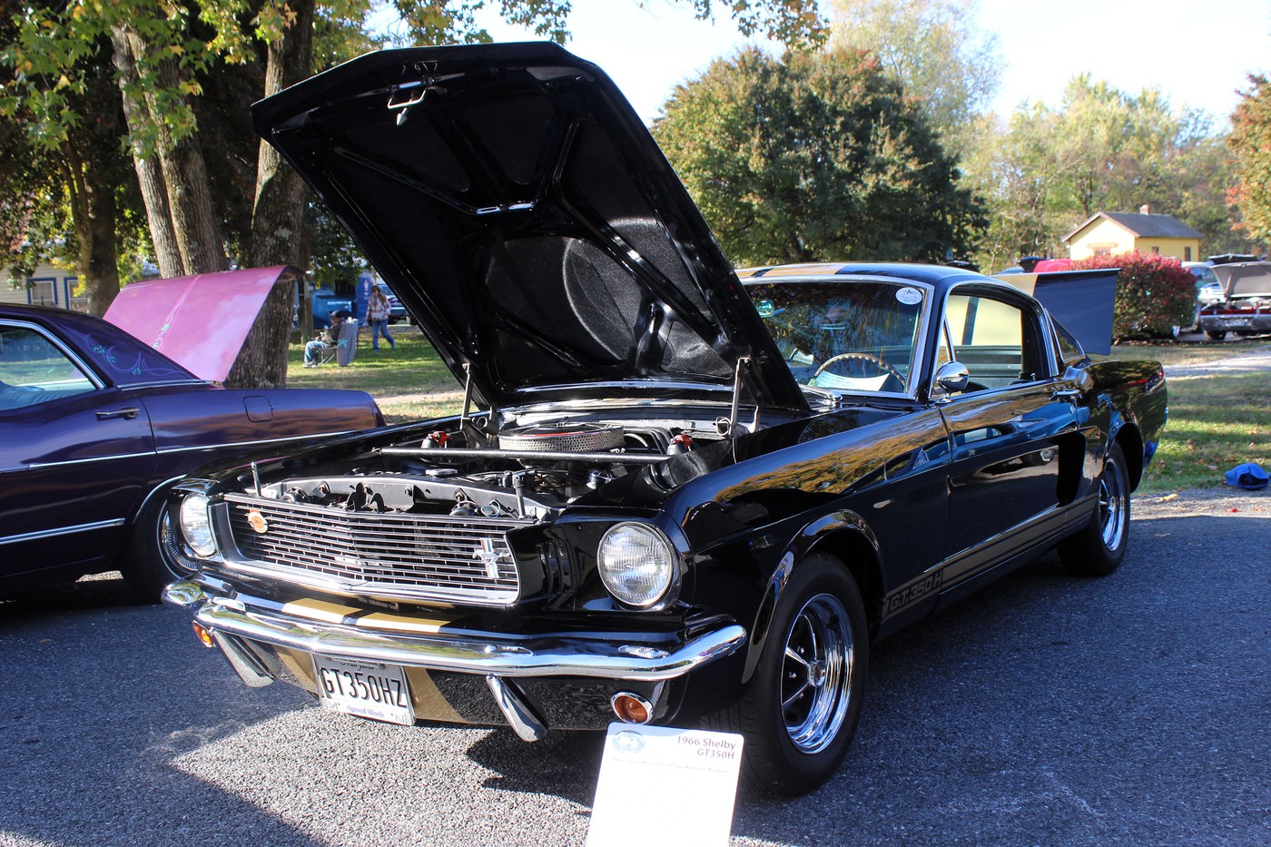 Photo IMG 0050 Stevensville Classic Car & Truck show album Lyle Willits photo