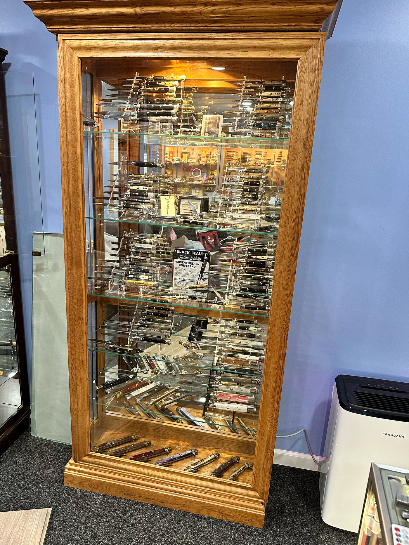 Display Case For Files Photo: 1716166854107 | Some Displays & Cases album | switch67 | Fotki ...